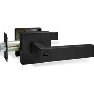 Cerradura Portón Apartamento Negro Manija Bari 9103 YALE